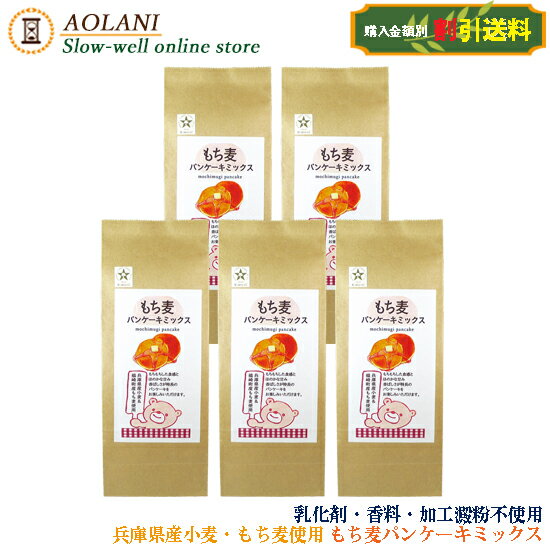 【送料割引】もち麦 パンケーキ ミックス 200g×5 兵庫県産小麦・もち麦使用 寺尾製粉所のサムネイル