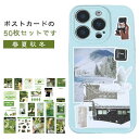 50枚セット 花 ポストカード アート 夏 秋 冬 インテリア雑貨 ポストカード カード 北欧 インテリア おしゃれ 雑貨 フラワー シール 韓国 パステル 韓国インテリア 北欧インテリア リビング 寝室 トイレ 書斎