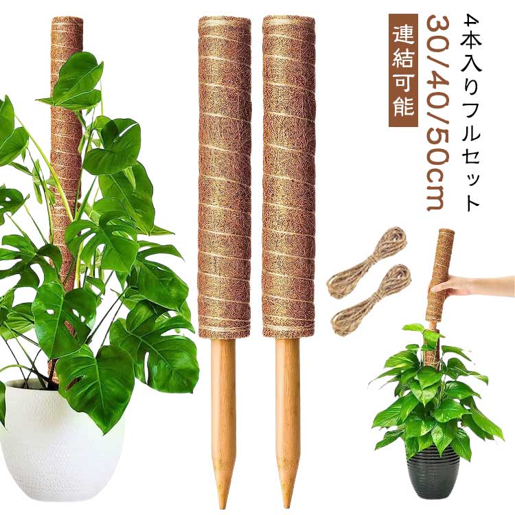 【4本入り】ココスティック 10点セット 支柱 ココナッツ モンステラ支柱 高さ調整可能 ポトス 植物支柱 観葉植物 モンステラ 植物 ガーデニング用 園芸支柱 ガーデン 蔓 連結 延長 ココナッツ支柱 支え 園芸用 植物サポート 30cm 【4本入り】ココスティック 40cm
