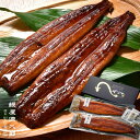 うなぎの蒲焼 国産 熊本産 超特大 280g2尾セット くまもと産 鰻 丑の日 自社養殖 ギフト 化粧箱入り お祝い お中元