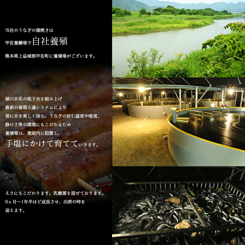 うなぎ 国産うなぎ 蒲焼き＆白焼き うなぎ紅白ギフト 熊本産 お中元 売れ筋 個包装 化粧箱入り 鰻 ギフト 冷凍 2