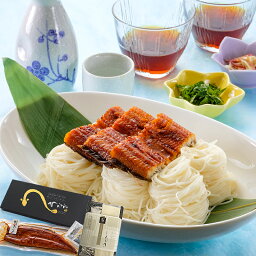 国産うなぎの蒲焼き 1尾 大サイズ190g 選べる手延べ麺 ギフト 丑の日 肥後そう川 売れ筋 冷凍 贈り物 プレゼント お祝い お中元