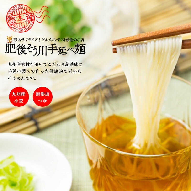 そうめん 手延べ 熊本産小麦使用 素麺 2人前×2パック 無添加 つゆ付き 肥後そう川 国産 ソーメン くまもと 2