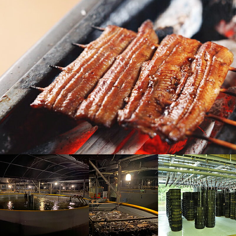 【送料無料】国産うなぎ蒲焼き1尾 （食べきり120g前後）お試し 自社養殖 熊本産 ギフト 3