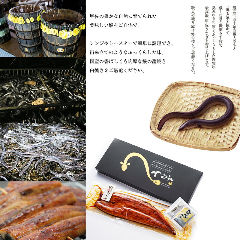 わくわく倶楽部の熊本産うなぎの蒲焼き1尾 （約145g前後＆蒲焼のタレ5個付） 国産鰻 土用丑の日 ギフト 冷凍 化粧箱入りラッピング無料 父の日｜アングル3