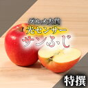 冷蔵便 グルメ大賞 ＼光センサー選果／ 3kg 5kg 10kg 青森 特選 サンふじ サン ふじ 贈答 送料無料 りんご 青森県産 ギフト 贈答 リンゴ 林檎 果物 お歳暮 クリスマス 3キロ 5キロ 10キロ プレゼント a