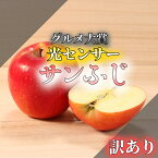 冷蔵便 グルメ大賞 【光センサー選果】 3kg 5kg 10kg サンふじ 送料無料 訳あり りんご 王林 サン おうりん 青森 青森県産 家庭用 リンゴ 青森県 林檎 果物 リンゴジュース 3キロ 5キロ 10キロ 自宅用