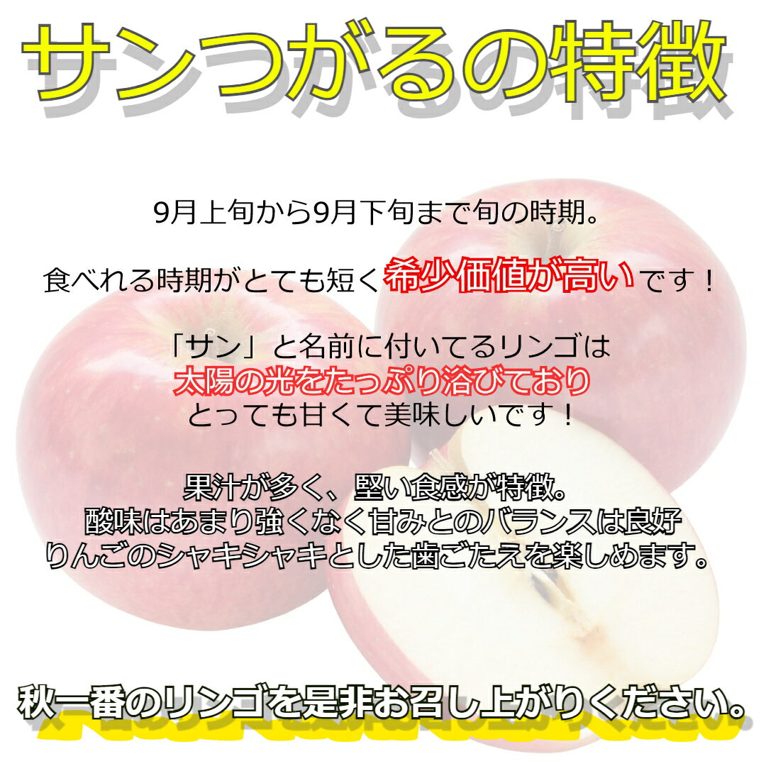 【スーパーセール対象】サン つがる 青森県産 訳あり 10kg