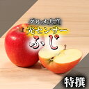 【安心のクール便】 \光センサー選果/ 3kg 5kg 10kg 青森 特選 有袋ふじ ふじ 津軽 贈答 送料無料 りんご 青森県産 ギフト サン ふじ 津軽 ...