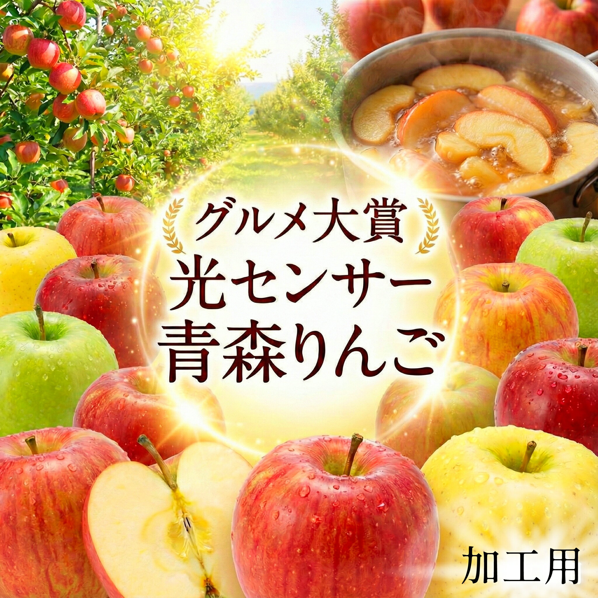 【12月19日 1000円オフクーポン配布】 ＼光センサー選果／ 青森 りんご 10kg 加工用 送料無料 ジュース ジャム サンフジ ふじ 10キロ 王林 名月 ぐんま名月 紅玉 津軽 つがる 黄王 ジョナ トキ 訳あり 青森県産 5kg 5キロ 家庭用