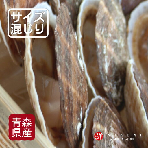 激安価格!青森産活ほたて (サイズ混じり) 10枚 激安価格!青森産活ほたて (サイズ混じり) 10枚