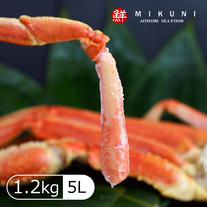 大特価!ズワイガニ脚3肩 (約1.2〜1.5kg:5L)セット