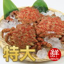 全国お取り寄せグルメ青森食品全体No.115