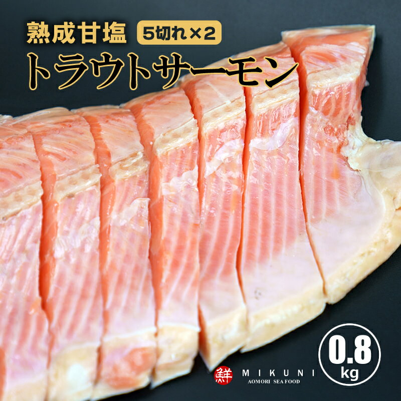 トラウトサーモン半身　甘塩 約0.8キロ 5切れカット×2パック 真空パックのサムネイル