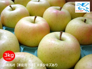 JA相馬村【家庭用トキ】3kg(10-11玉)※多少キズあり<同梱不可>