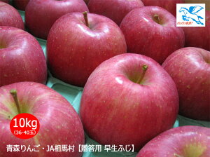 JA相馬村【贈答用・早生ふじ(昂林)】10kg(36-40玉)<同梱不可>