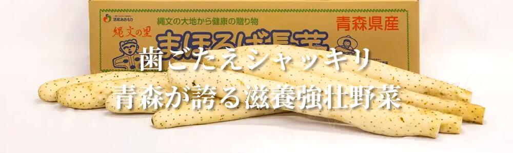 青森県産　長芋　5Kg（ 3L〜4Lサイズ /4〜5本入り）（おがくず詰め）　【（有）柏...