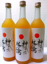【送料無料】【代金引換不可】「神々の林檎」青森県産 最高級りんごジュース 3本セット!【720ml×3本入り】 【合同会社 まっかなほんと】