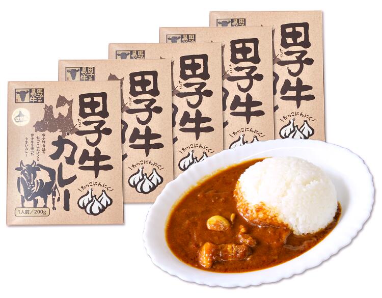 田子牛カレー 200g×5個 (レトルトパウチ)【(株)肉の博明】