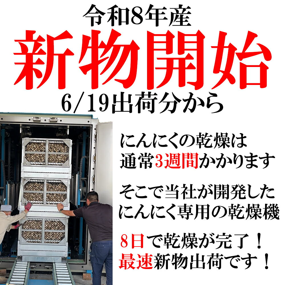 【新物！】 にんにく 青森県産 訳あり バラ 【250g,400g,500g,1kg,2kg,5kg,10kg】 ワケアリ 青森 ニンニク 青森にんにく 国産ニンニク 訳ありにんにく 大容量 メール便 翌日配達 福地ホワイト ポイント消化 大蒜 2