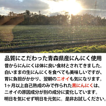 黒にんにく　青森産　送料無料　訳あり 1kg　バラ