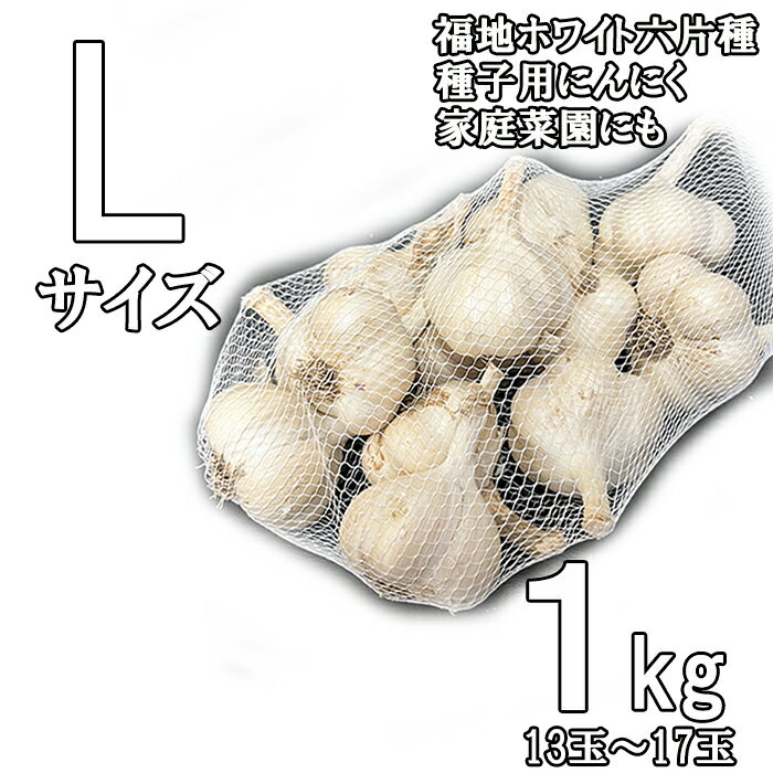にんにく 種子用 青森産 L玉 1kg 青森にんにく 乾熱処理 【にんにく 種 種球】