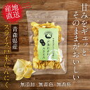 ニンニクチップ 【送料無料】 青森県産 スライス ニンニク 戸来にんにく 乾燥 にんにく チップ スライス 国産