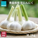 【早い者勝ち！最大2,000円OFFクーポン配布中！】 青森県産 ハウス栽培 生にんにく Mサイズ 1kg 福地ホワイト六片種 あおもりショップ ..