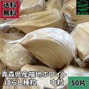 【令和8年度栽培用種】【数量限定】にんにく種片 50片 (中粒)青森県産 福地ホワイト バラし 令和7年産 ニンニク タネ たね 農業 ガーデニング 家庭菜園 自家製黒ニンニク作りにも 令和7年栽培【送料無料】