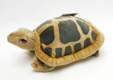 【到着しました！即納】ハンサカメ28cmHANSA TURTLEかめのぬいぐるみ【セール】動物のぬいぐるみ【楽ギフ_包装】【楽ギフ_メッセ入力】【メッセージカード無料】【RCP】【5002014】