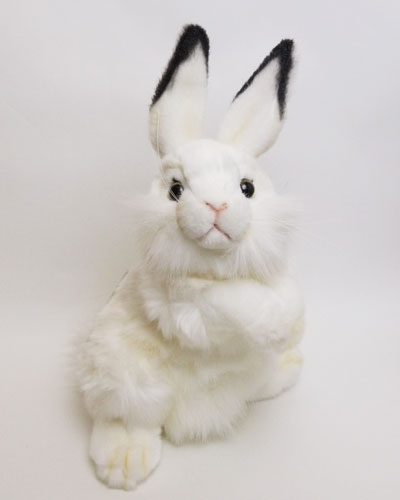 楽天市場】白うさぎ ぬいぐるみ(種類(動物)ウサギ)の通販 楽天市場】白うさぎ ぬいぐるみ(種類(動物)ウサギ)の通販
