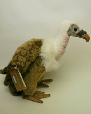 ハンサハゲワシ27cmHANSA　VULTURE【楽ギフ_包装】【楽ギフ_メッセ入力】【プレゼントにもオススメ】【メッセージカード無料】【RCP】【5002014】