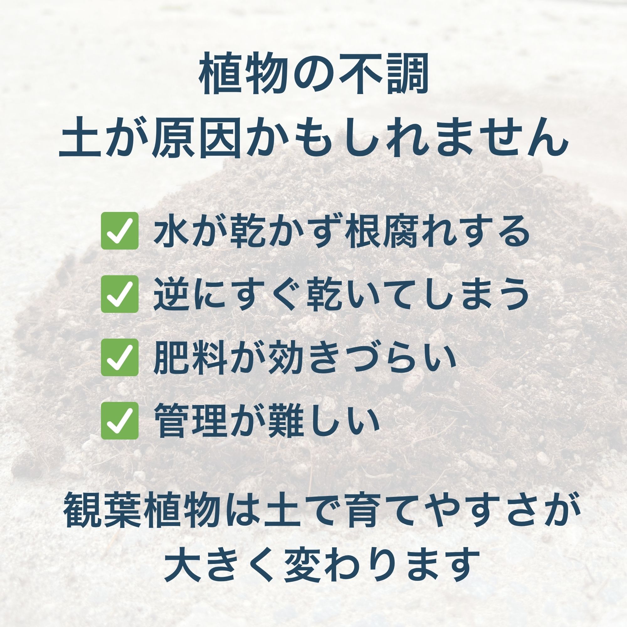 観葉植物の土 AONOKI SOIL 2L 10L 6号 8号 10号 観葉植物 多肉植物 室内用 培養度 土