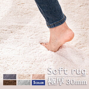 ★楽天1位受賞★【密度x3倍！極厚30mm】ふわふわ ラグ 洗える 100×140 140×200 200×250cm 1.5畳 2畳 3畳 カーペット 厚手 厚い 高密度 ラグマット おしゃれ 高反発 滑り止め付 ラグカーペット 撥水 冬用 ホットカーペット対応