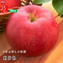【予約】りんご 青森 あかね 9月 送料無料 産地直送 早生りんご リンゴ 早生種 フルーツ 林檎 くだもの 赤りんご 秋 9月上旬ころから順次発送