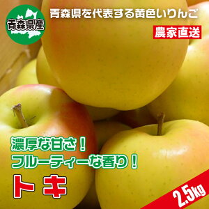 青森県産 とき りんご 2.5kg（7~11個） 老舗のりんご農園 送料無料 産地直送