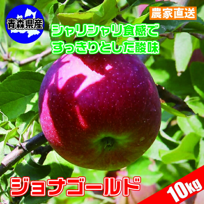 【予約】大正時代創業青森県産 サンジョナゴールド りんご 10kg（24~40個） 送料無料 産地直送 10月25日より出荷開始