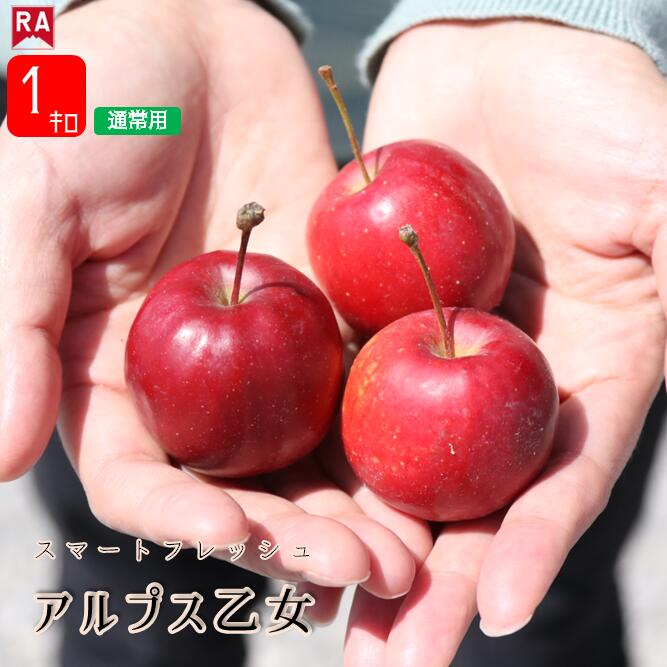楽天市場】姫りんご アルプス乙女の通販
