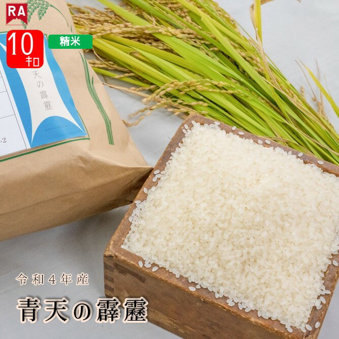 【訳あり】特別価格 産年経過 令和4年産 米 10kg 送料無料 青天の霹靂 青森 国産 ブランド米 秋 冬 旬 晴天の霹靂 お米 コメ こめ ごはん 精米 白米 ご飯 10キロ アウトレット 東北 食品 産地直送 農家直送のサムネイル