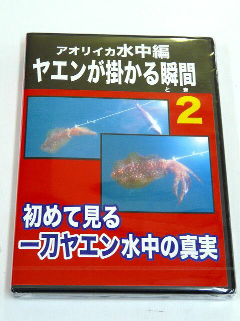 【あす楽対応】フィッシュマン アオリイカ水中編 ヤエンが掛かる瞬間　2 【全国一律送料無料】 ハウツ..