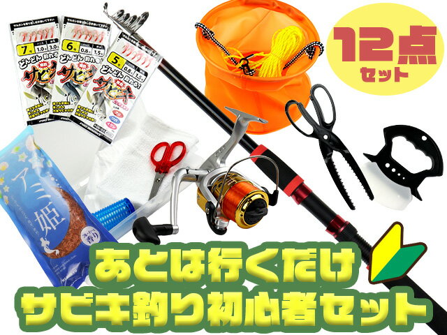 【スーパーSALEポイント10倍】あおりねっと☆後は行くだけ！サビキ釣りコンプリートセット お得12点セット【全国一律送料無料】釣り具セット 入門セット 釣竿 ロッド リール 初心者 ビギナー ファミリー