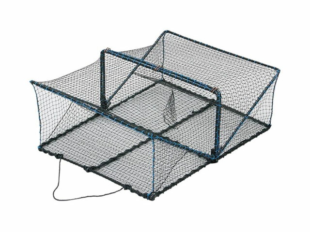 ڰϰ̵ۥץޥ(PRO MARINE) EX AFA109 ˥ ˥ ˥ ˥ ʹ  ˥ȥå ...