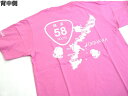 あおりねっとオリジナルTシャツ(煽道沖縄バージョン) ピンク 58号線 R58 沖縄 おきなわ Sサイズ Mサイズ Lサイズ XLサイズ ヘビーウエイト アオリイカ釣り エギング ヤエン釣り 釣りTシャツ ティーシャツ フィッシング