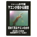 アオリイカヤエン釣りの成功例と失敗例を水中からの映像で分かりやすく紹介されたDVD。イカにヤエンが掛かる瞬間の水中映像が満載。難しい、面倒、なかなか釣れない、そんな悩みを一発解消してくれるはず！誰も見たことのない水中映像“ヤエンが掛かる瞬間”を見ればやる気満々に！●約60分　