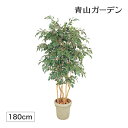 人工観葉植物 造花 業務用 施設 オフィス 店舗 装飾 フェイク グリーン リアル 飾り タカショー / ベンジャミン 立木 5本立 1.8m /大型 (rco...