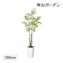 人工観葉植物 造花 業務用 施設 オフィス 店舗 装飾 フェイク グリーン リアル 飾り タカショー / トネリコツリー 1.8m /大型 (rco)(4)