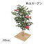 人工植物 造花/ミニサザンカ 花付 板付 60cm /GD-13N/フェイクグリーン/ディスプレイ/飾り/梱包サイズ小
