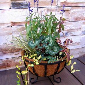 アピス　プランター（ハンドル付）