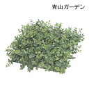 【24h限定!抽選で最大100%ポイント還元】人工観葉植物 造花 業務用 施設 オフィス 店舗 装飾 フェイク グリーン リアル 飾り タカショー / ユーカリ...