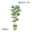 人工観葉植物 造花 業務用 施設 オフィス 店舗 装飾 フェイク グリーン リアル 飾り タカショー / トネリコ 3本立 1.8m /大型 (rco)